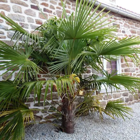 Gites Mont Saint Michel בית נופש